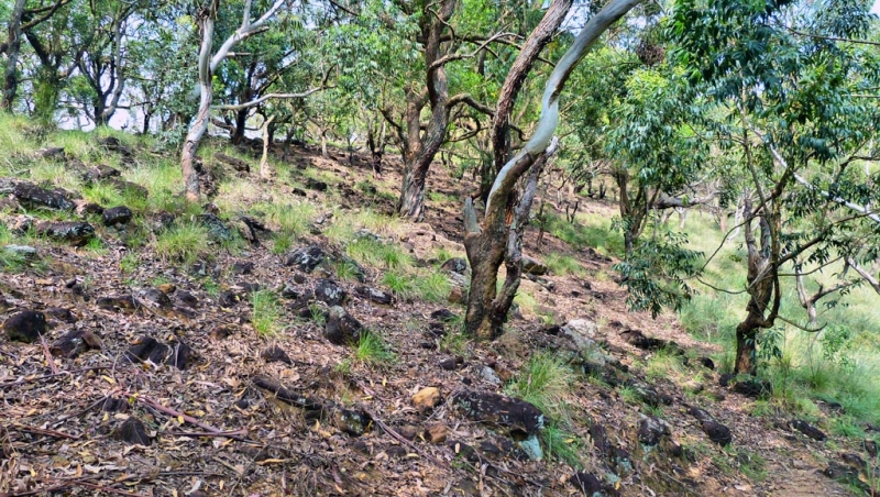 Горная Шри-Ланка на мотобайках +Тангалле, Хамбантота и Диквелла