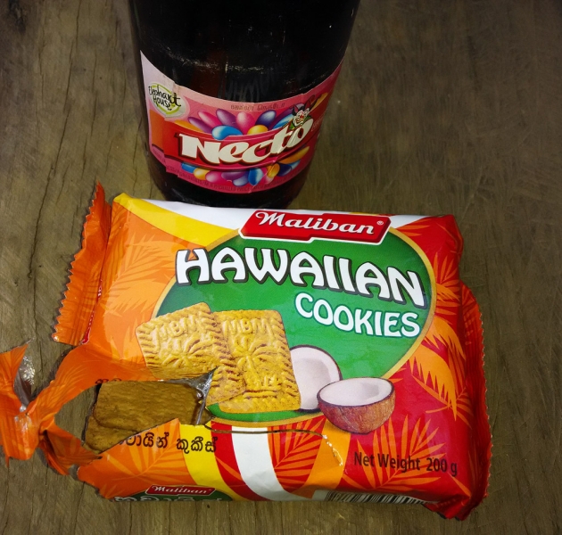 Горная Шри-Ланка на мотобайках +Тангалле, Хамбантота и Диквелла