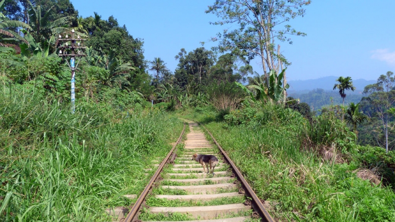 Горная Шри-Ланка на мотобайках +Тангалле, Хамбантота и Диквелла