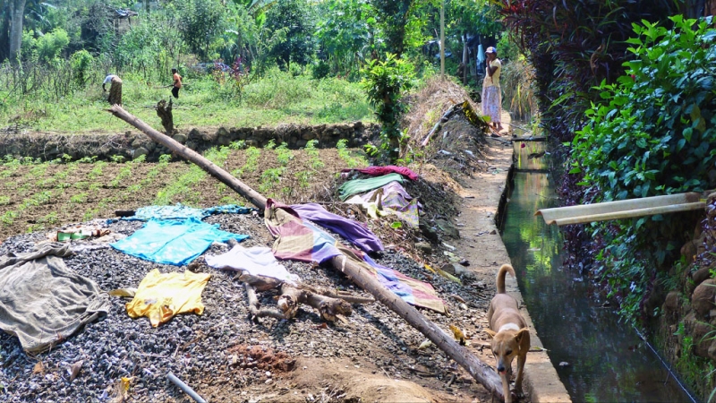 Горная Шри-Ланка на мотобайках +Тангалле, Хамбантота и Диквелла