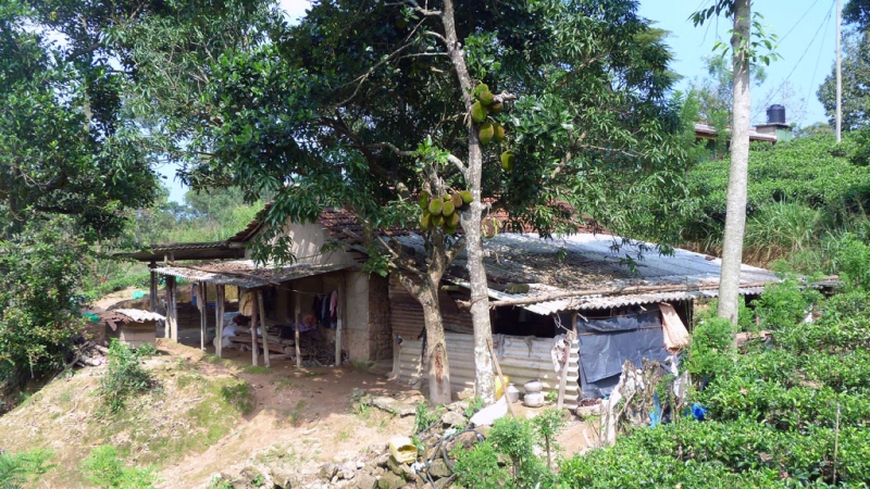 Горная Шри-Ланка на мотобайках +Тангалле, Хамбантота и Диквелла