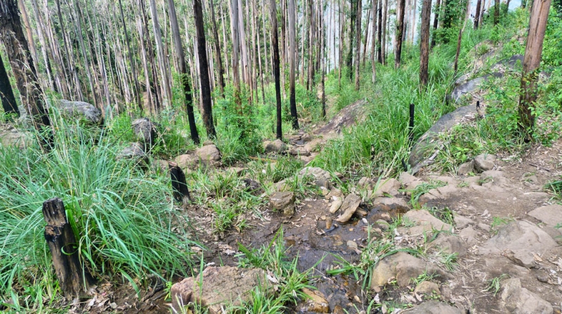 Горная Шри-Ланка на мотобайках +Тангалле, Хамбантота и Диквелла