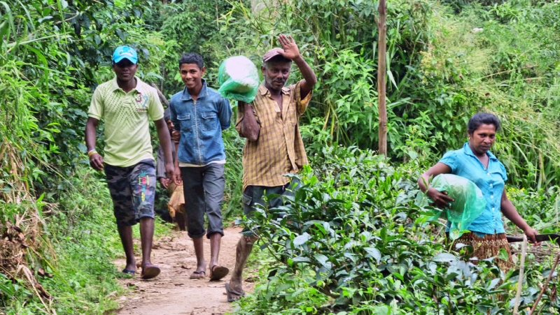 Горная Шри-Ланка на мотобайках +Тангалле, Хамбантота и Диквелла