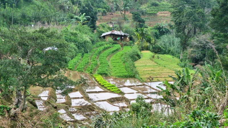 Горная Шри-Ланка на мотобайках +Тангалле, Хамбантота и Диквелла