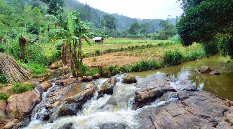 Горная Шри-Ланка на мотобайках +Тангалле, Хамбантота и Диквелла