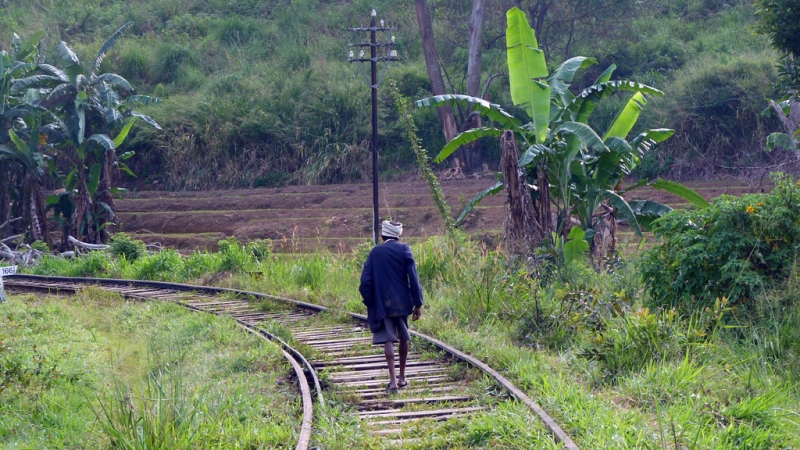 Горная Шри-Ланка на мотобайках +Тангалле, Хамбантота и Диквелла