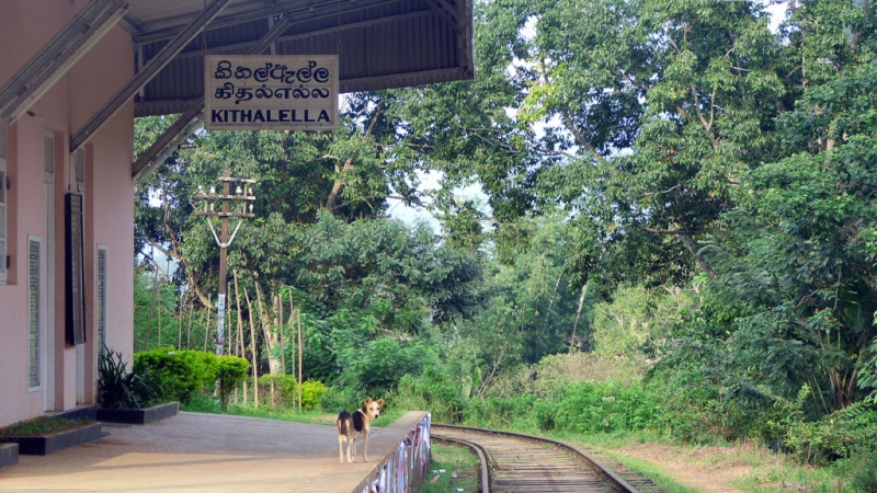 Горная Шри-Ланка на мотобайках +Тангалле, Хамбантота и Диквелла