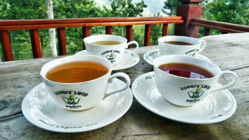 Горная Шри-Ланка на мотобайках +Тангалле, Хамбантота и Диквелла