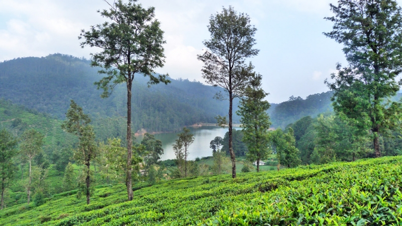 Горная Шри-Ланка на мотобайках +Тангалле, Хамбантота и Диквелла