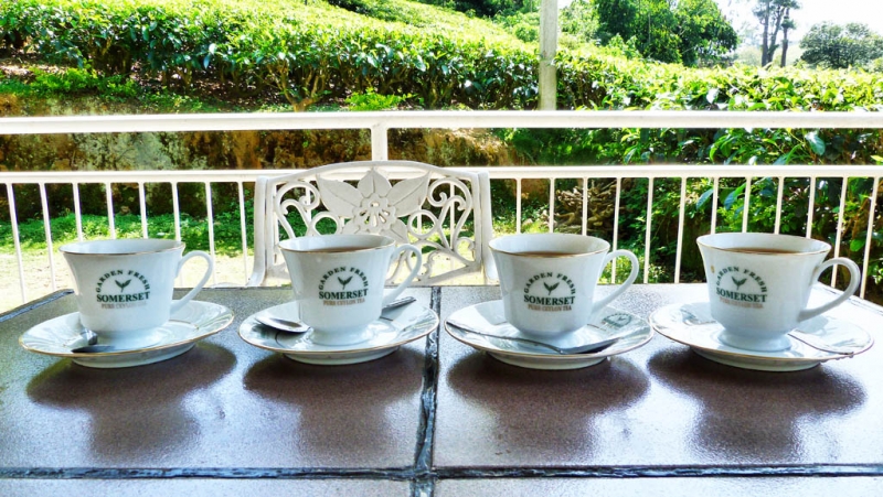 Горная Шри-Ланка на мотобайках +Тангалле, Хамбантота и Диквелла