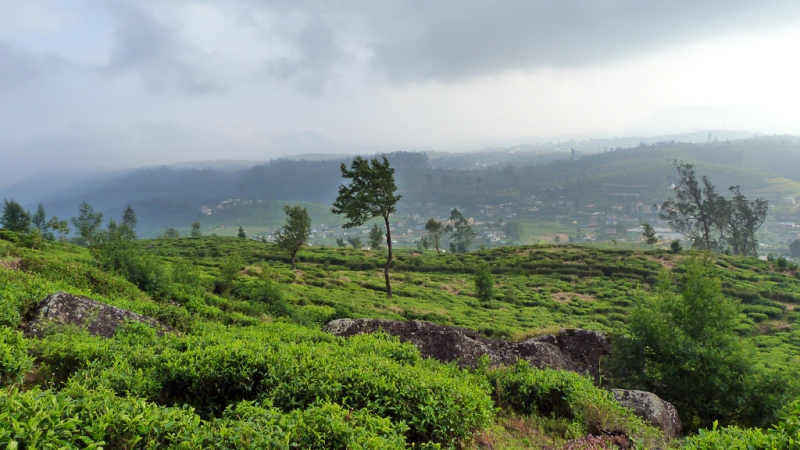Горная Шри-Ланка на мотобайках +Тангалле, Хамбантота и Диквелла