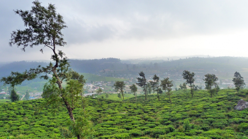Горная Шри-Ланка на мотобайках +Тангалле, Хамбантота и Диквелла
