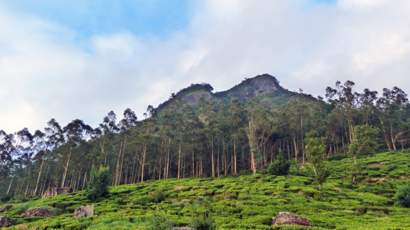 Горная Шри-Ланка на мотобайках +Тангалле, Хамбантота и Диквелла