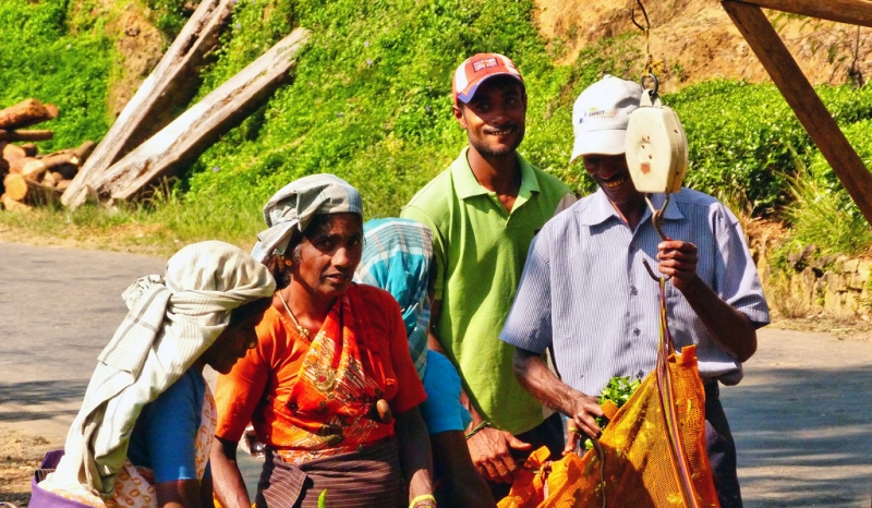Горная Шри-Ланка на мотобайках +Тангалле, Хамбантота и Диквелла