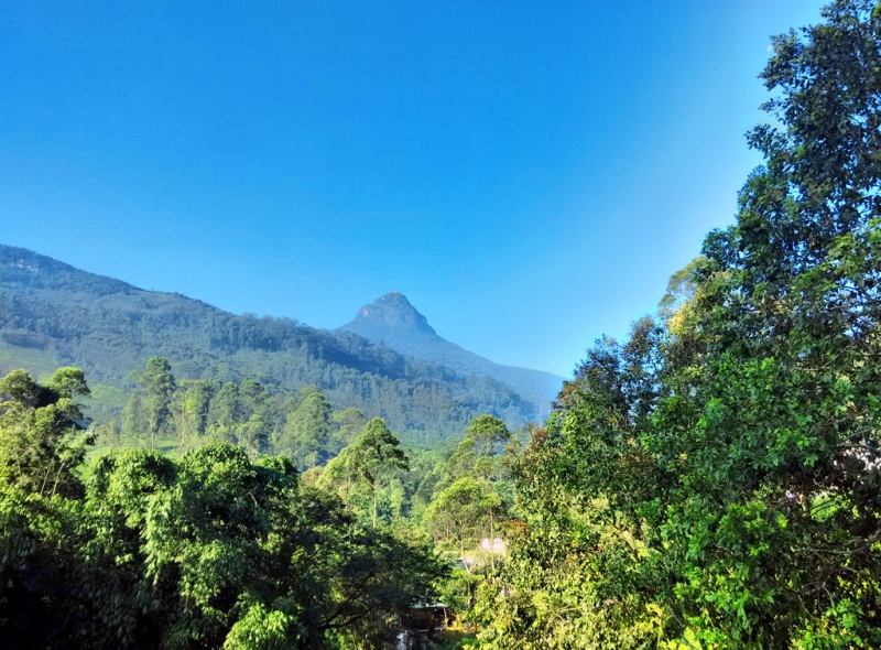 Горная Шри-Ланка на мотобайках +Тангалле, Хамбантота и Диквелла