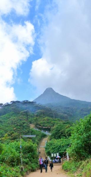 Горная Шри-Ланка на мотобайках +Тангалле, Хамбантота и Диквелла