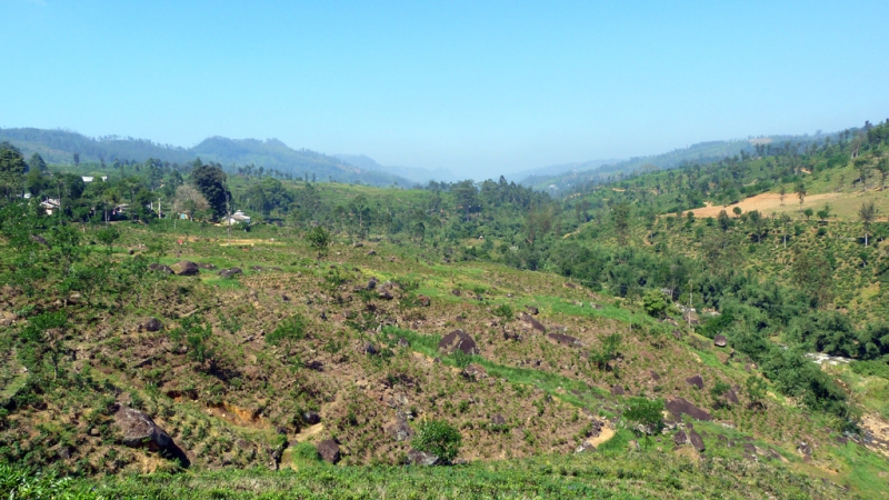 Горная Шри-Ланка на мотобайках +Тангалле, Хамбантота и Диквелла