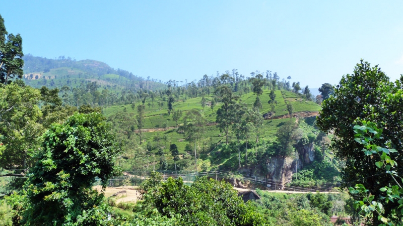 Горная Шри-Ланка на мотобайках +Тангалле, Хамбантота и Диквелла