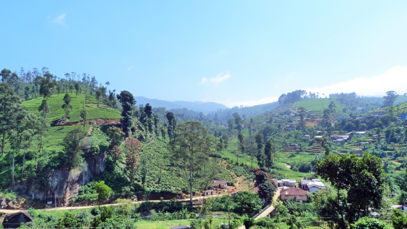 Горная Шри-Ланка на мотобайках +Тангалле, Хамбантота и Диквелла