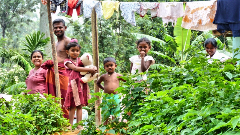 Горная Шри-Ланка на мотобайках +Тангалле, Хамбантота и Диквелла