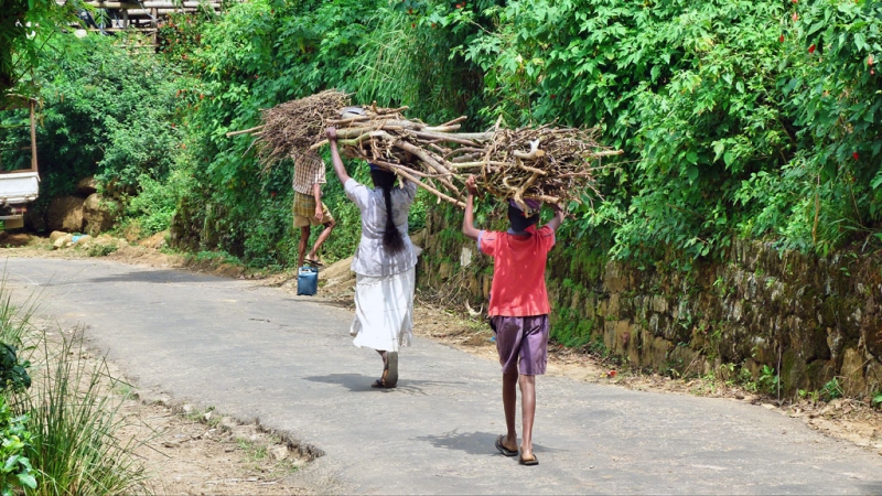 Горная Шри-Ланка на мотобайках +Тангалле, Хамбантота и Диквелла