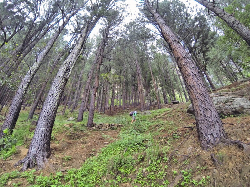 Горная Шри-Ланка на мотобайках +Тангалле, Хамбантота и Диквелла