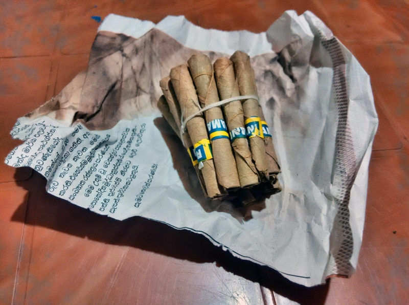 Горная Шри-Ланка на мотобайках +Тангалле, Хамбантота и Диквелла