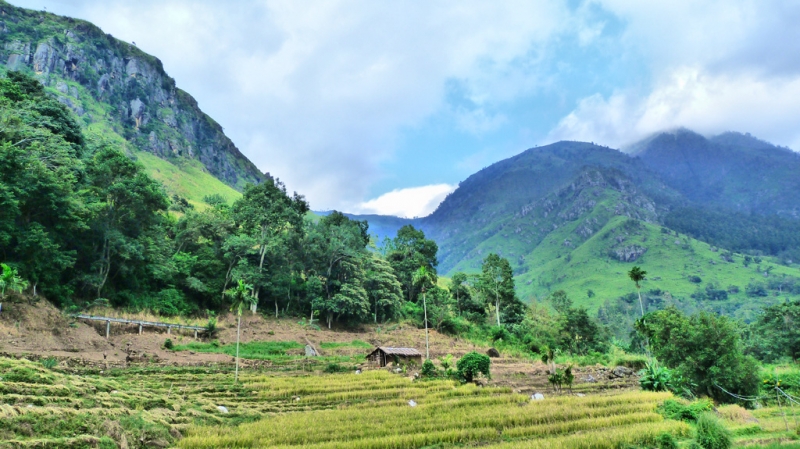 Горная Шри-Ланка на мотобайках +Тангалле, Хамбантота и Диквелла