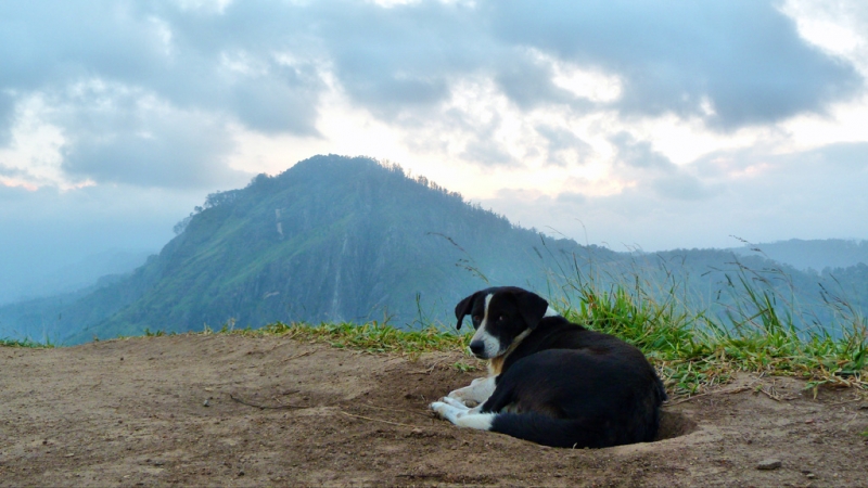 Горная Шри-Ланка на мотобайках +Тангалле, Хамбантота и Диквелла