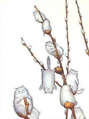 Поговорим о кошках32