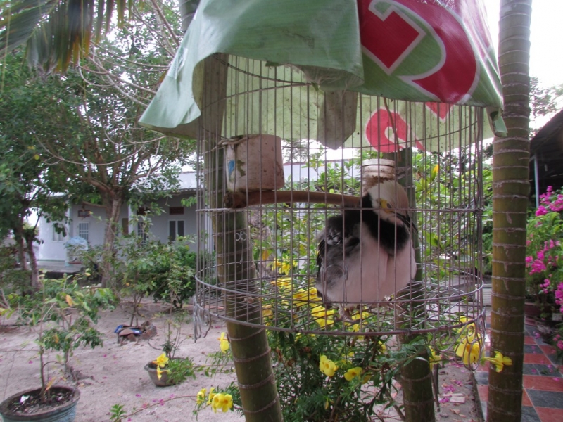 Хошимин-Фукуок-Муйнэ Ноябрь 2014г. Много фото, экскурсий.