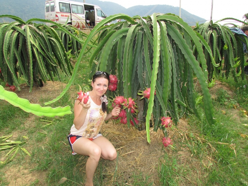 Хошимин-Фукуок-Муйнэ Ноябрь 2014г. Много фото, экскурсий.