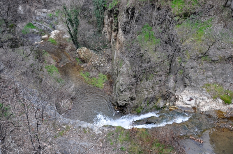 О Грузия! Страна цветов  Тебя немало воспевали...(много фото)