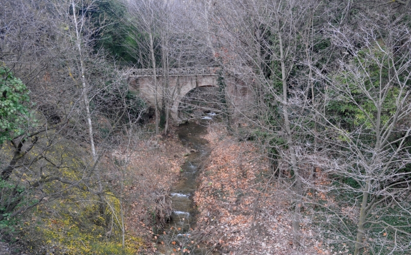 О Грузия! Страна цветов  Тебя немало воспевали...(много фото)