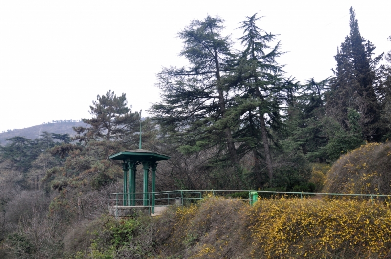 О Грузия! Страна цветов  Тебя немало воспевали...(много фото)