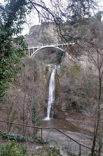 О Грузия! Страна цветов  Тебя немало воспевали...(много фото)
