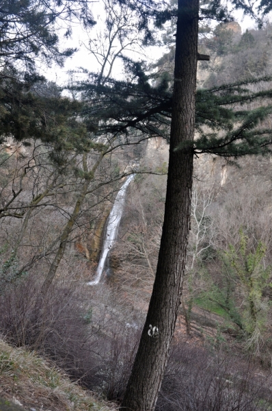 О Грузия! Страна цветов  Тебя немало воспевали...(много фото)