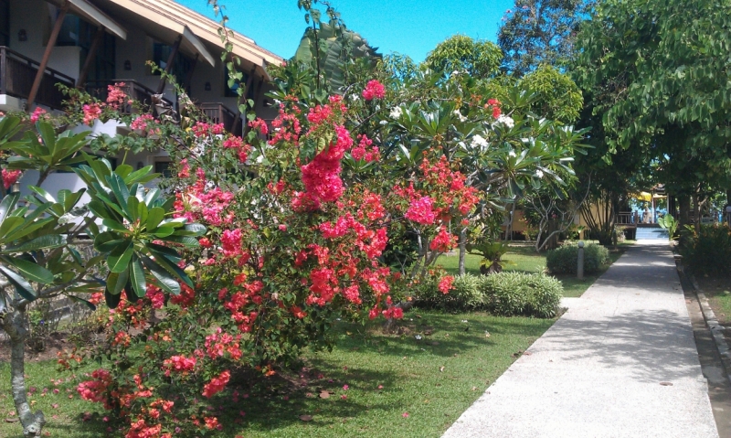 Борнео (март-апрель) дикарём, жизнь в КК, острова, горы...