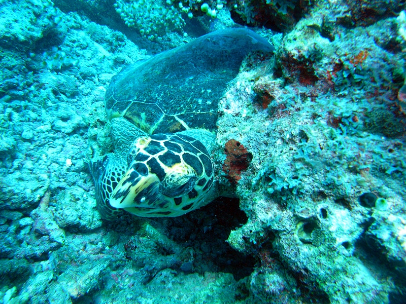 M0012740