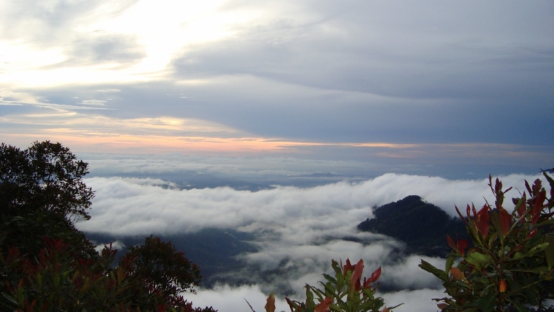 Борнео (март-апрель) дикарём, жизнь в КК, острова, горы...