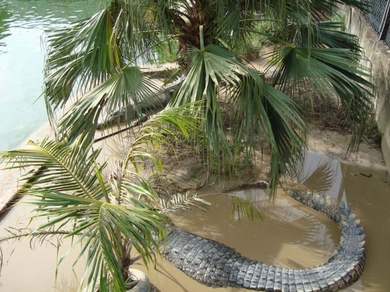 Борнео (март-апрель) дикарём, жизнь в КК, острова, горы...