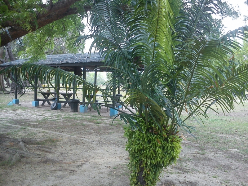 Борнео (март-апрель) дикарём, жизнь в КК, острова, горы...