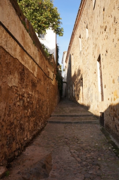 Неслучайная библиотека [Caceres, Badajoz, Jerez de los Caballeros, Zafra и другие]