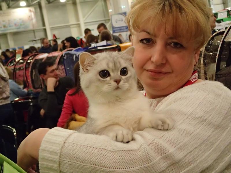 Поговорим о кошках32