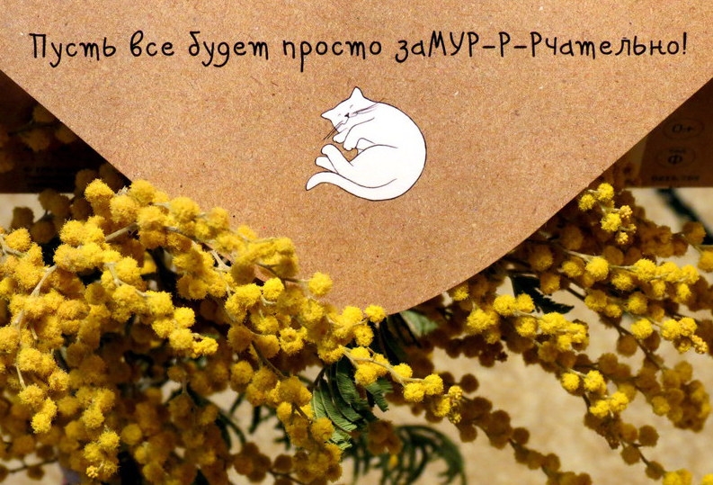 Поговорим о кошках32