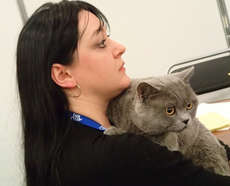 Поговорим о кошках32