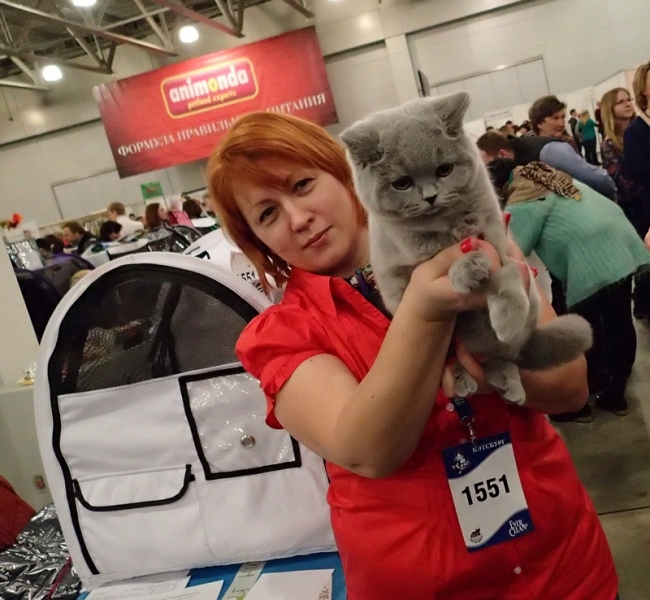 Поговорим о кошках32