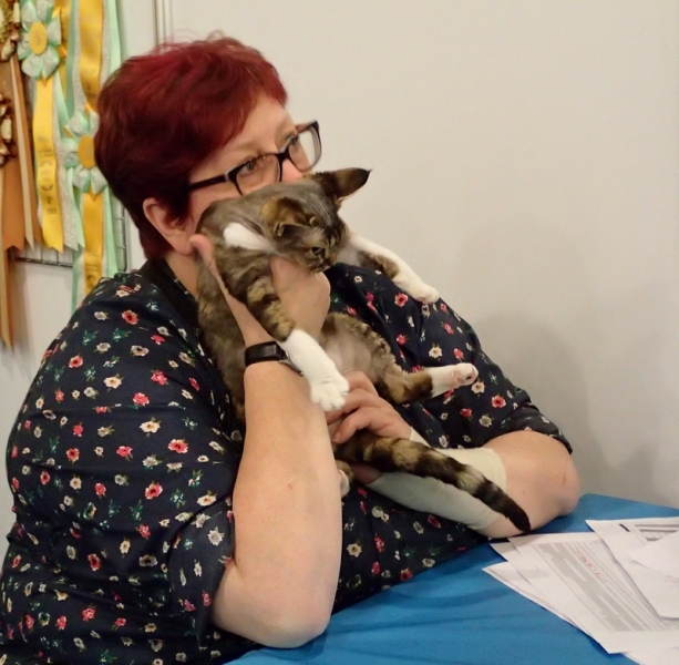 Поговорим о кошках32