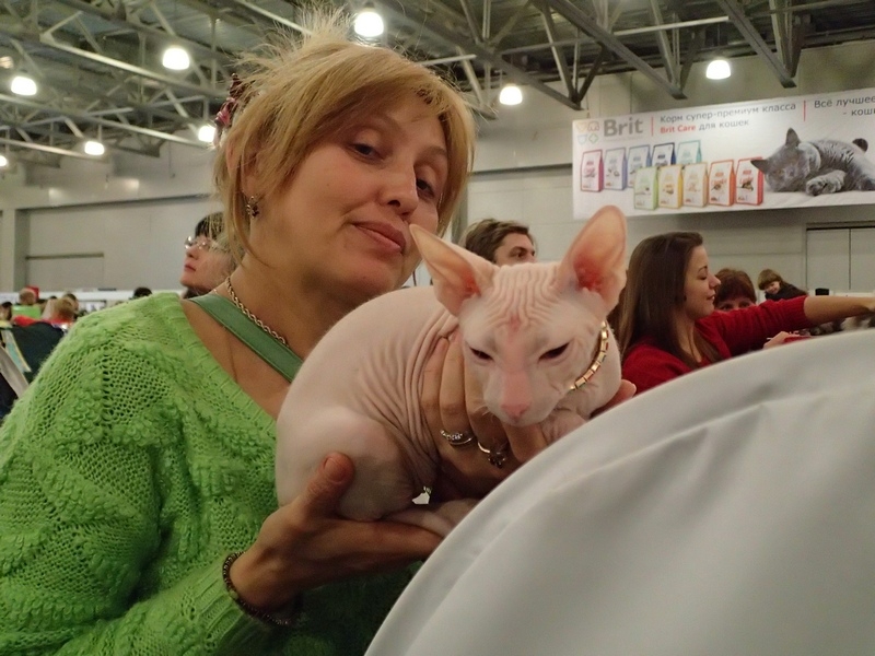 Поговорим о кошках32