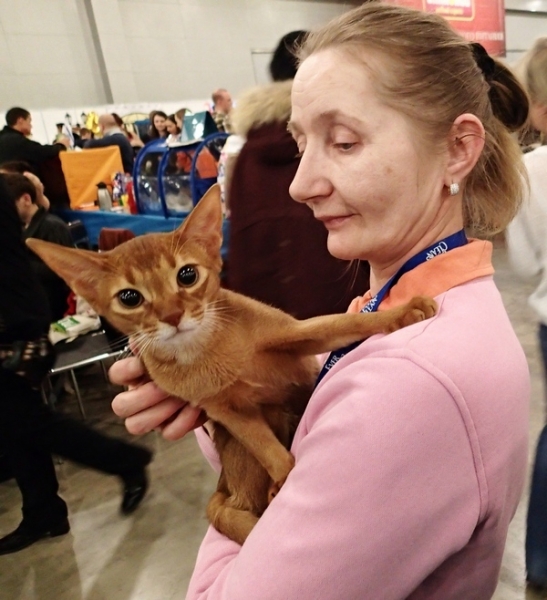 Поговорим о кошках32